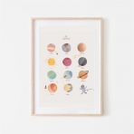 Mushie poster, Space 50x70 cm